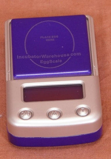 /e/g/egg-scale1.jpg